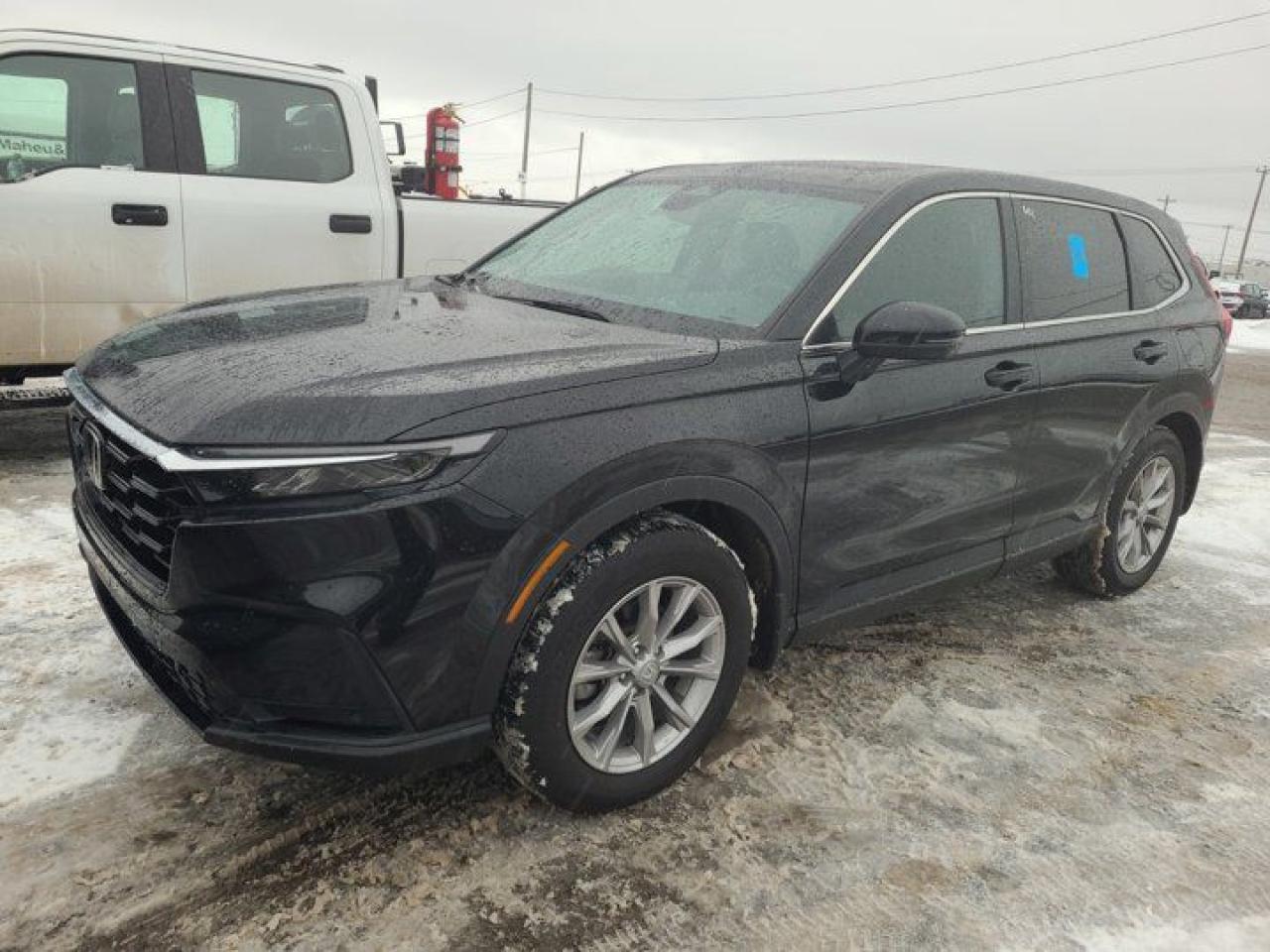 Used 2023 Honda CR-V EX-L AWD - Leather | Sunroof | Adaptive Cruise | Heated Steering + Seats | Carplay & Android & more! for sale in Guelph, ON