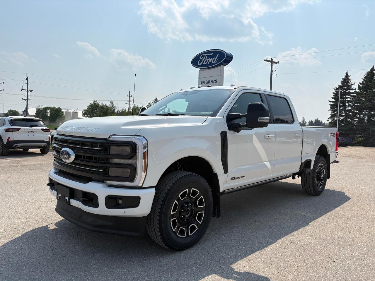 2025 Ford F-350 Super Duty SRW PLATINUM 4WD CREW CAB 6.75' BOX Photo