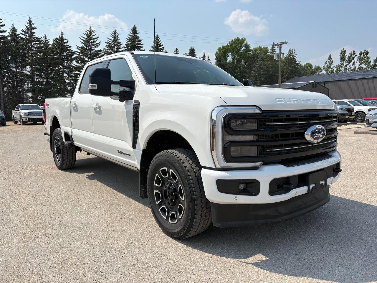 2025 Ford F-350 Super Duty SRW PLATINUM 4WD CREW CAB 6.75' BOX Photo3