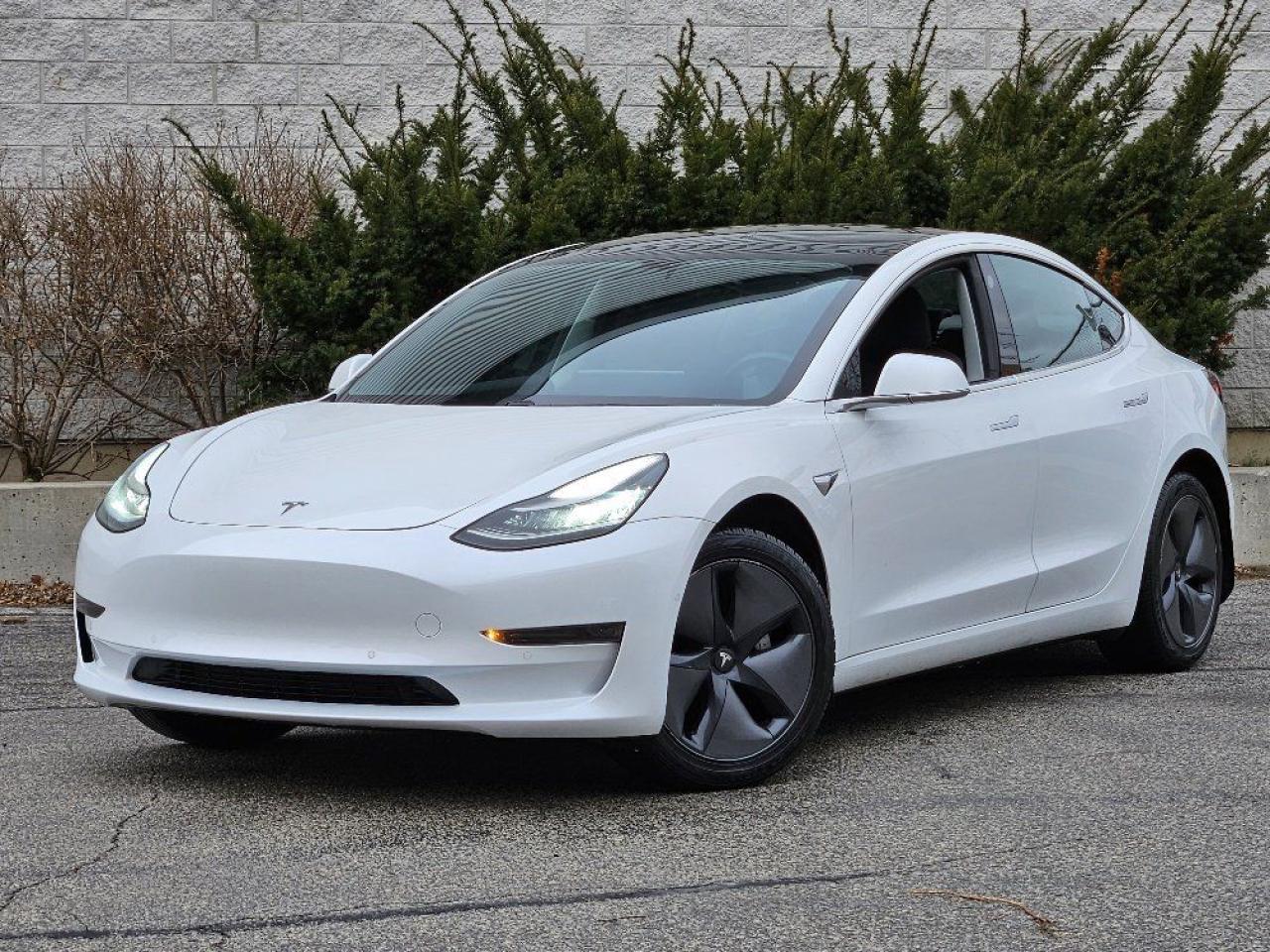 <p>1 OWNER! NO ACCIDENTS! CLEAN TITLE!</p><p>This stunning Pearl White Tesla with a sleek black interior and elegant multi-spoke wheels is the perfect mix of modern style and cutting-edge technology.</p><p>Remaining balance of Teslas 8-year or 160,000 km battery and drive warranty, this car is ready for a reliable and exciting future.</p><p>Boasting an impressive range of up to 423 km on a single charge, the Model 3 redefines what electric driving means. It rockets from 0 to 100 km/h in just 5.3 seconds, proving that sustainability and performance can go hand in hand.</p><p>Inside, you will find standard Autopilot capability, giving you a smoother, smarter, and more enjoyable driving experience. The premium connectivity ensures your navigation and entertainment are always seamless, while the minimalist design creates a clean, modern atmosphere that turns every trip into a first-class experience.</p><p>With a spotless history and head-turning looks, this Tesla Model 3 is your chance to embrace the future of driving in style. Contact us today to see it for yourself!</p><p>SPECIAL FINANCE PRICE! $0 DOWN 6.98% FINANCING AVAILABLE o.a.c</p><p>$21,777 plus HST price is available exclusively for finance purchase only. </p><p>Wholesale dealer-to-dealer transactions & **Cash payment** price is $23,777 plus HST</p><p>GAP INSURANCE AND EXTENDED WARRANTIES AVAILABLE!</p><p>**$0 DOWN...PRIME RATE FINANCING APPROVALS**o.a.c.</p><p>TAKE ADVANTAGE OF OUR VOLUME BASED PRICING TO ENSURE YOU ARE GETTING **THE BEST DEAL IN TOWN**!!! THIS VEHICLE COMES FULLY CERTIFIED WITH A SAFETY CERTIFICATE AT NO EXTRA COST! FINANCING AVAILABLE & EXTENDED WARRANTIES AVAILABLE ON ALL VEHICLES!</p><p>COLISEUM AUTO SALES PROUDLY SERVING THE CUSTOMERS FOR OVER 25 YEARS! NOW WITH 2 LOCATIONS TO SERVE YOU BETTER. COME IN FOR A TEST DRIVE TODAY!<br>FOR ALL FAMILY LUXURY VEHICLES..SUVS..AND SEDANS PLEASE VISIT....</p><p>COLISEUM AUTO SALES ON WESTON<br>301 WESTON ROAD<br>TORONTO, ON M6N 3P1<br>4 1 6 - 7 6 6 - 2 2 7 7</p>