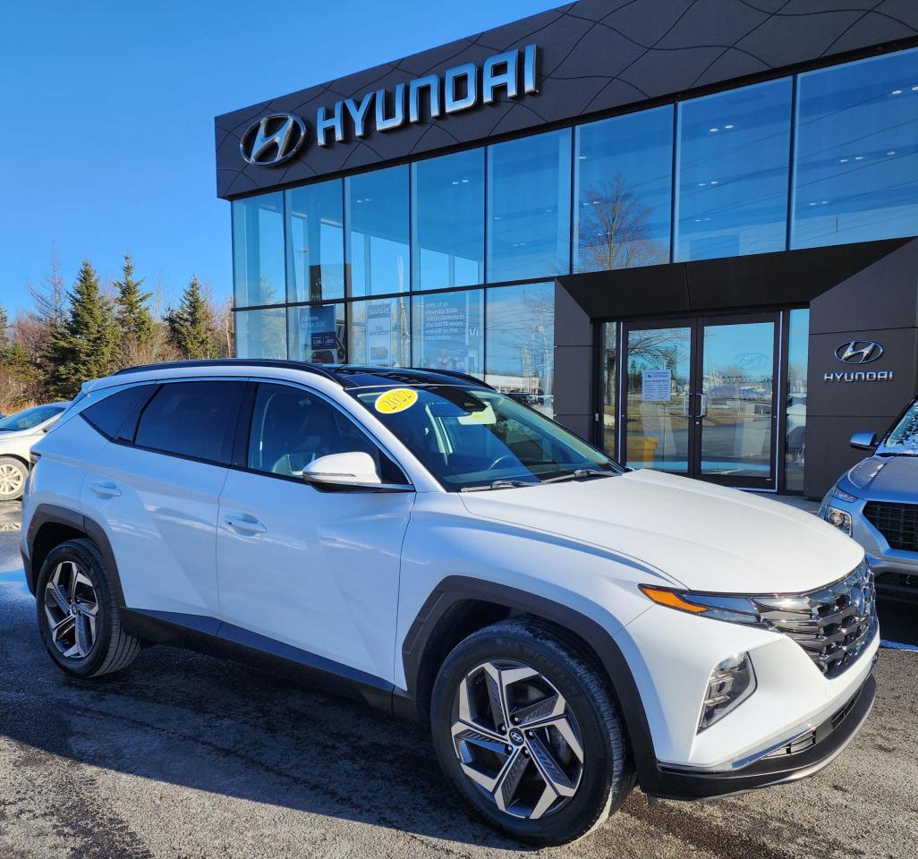 Used 2022 Hyundai Tucson Luxury AWD for sale in Port Hawkesbury, NS