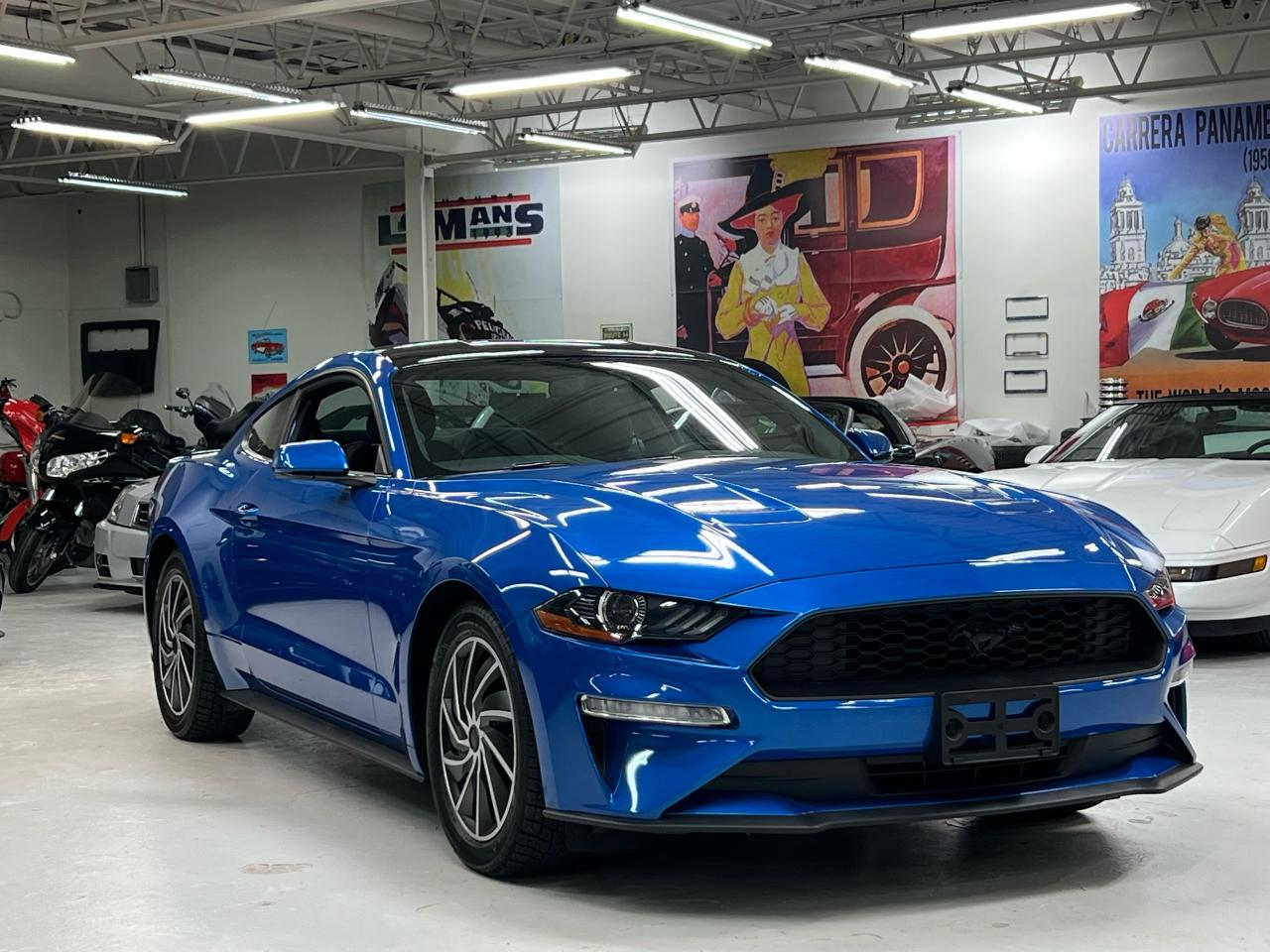 Used 2019 Ford Mustang EcoBoost with Navigation, Black Accents for sale in Paris, ON