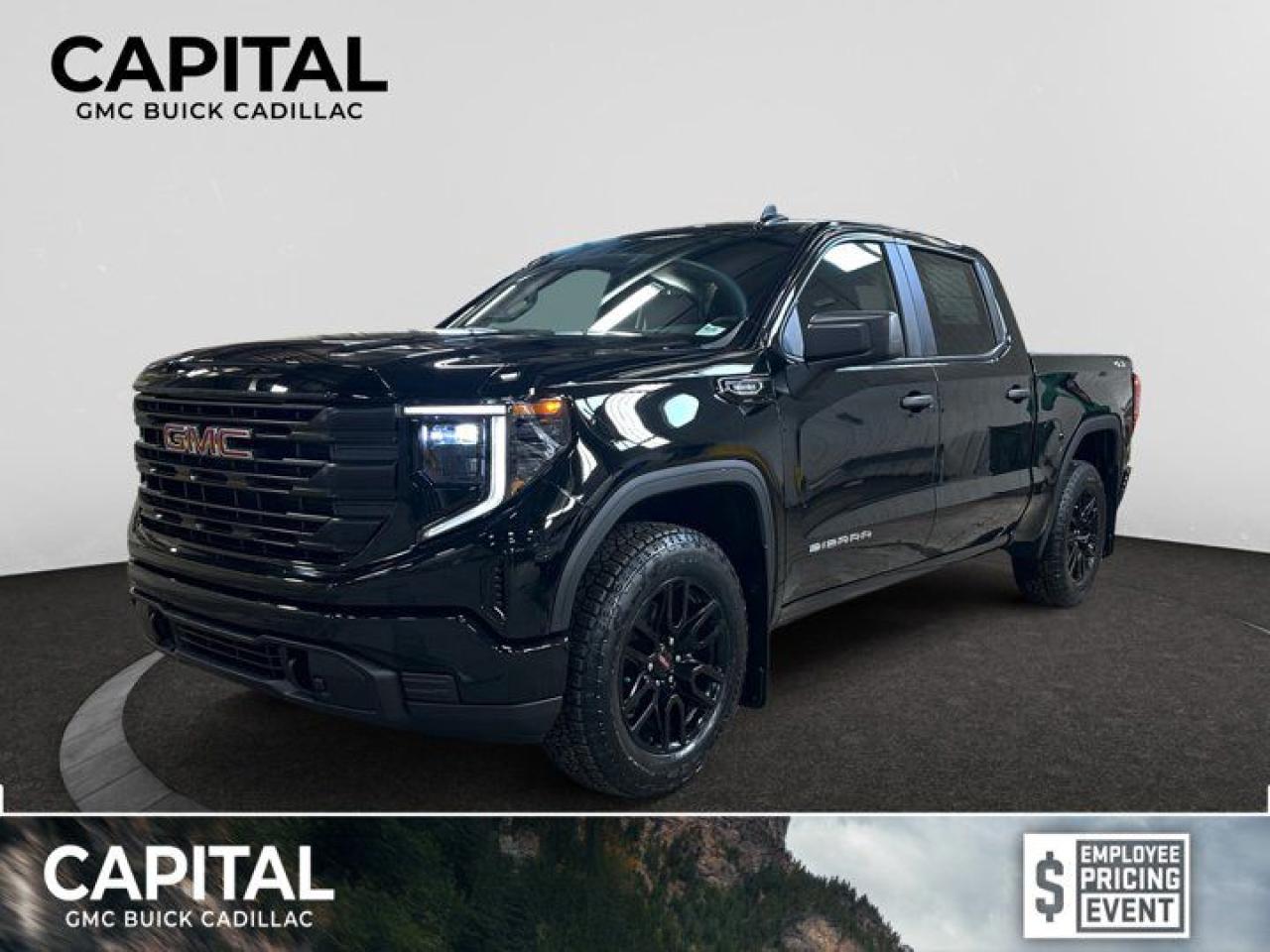 New 2025 GMC Sierra 1500 PRO for sale in Regina, SK