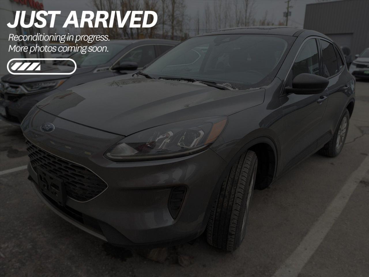 Used 2022 Ford Escape SE $219 BI-WEEKLY - NO REPORTED ACCIDENTS for sale in Cranbrook, BC