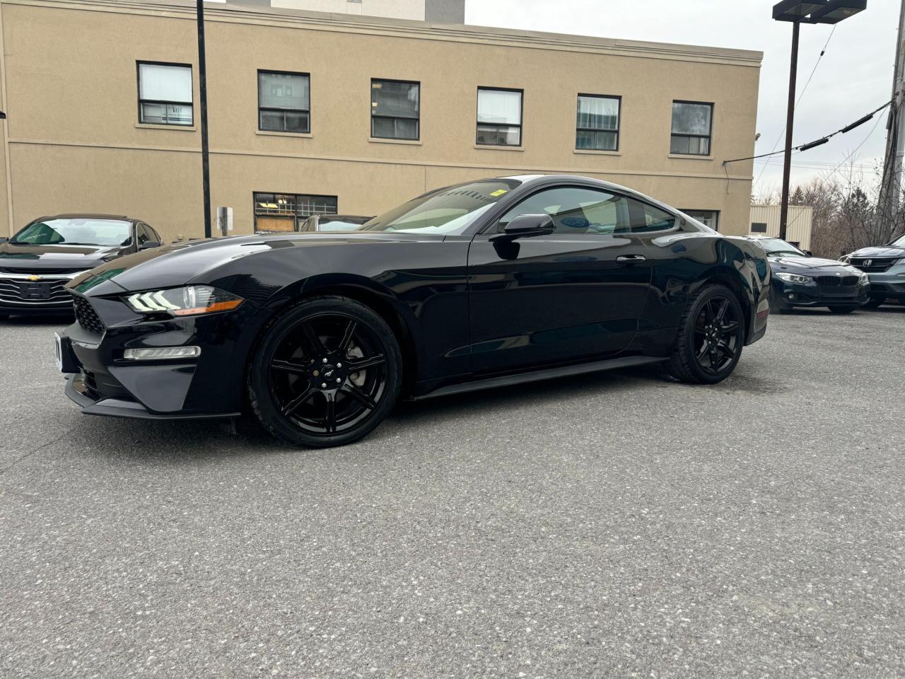 Used 2020 Ford Mustang EcoBoost Premium LOW MILAGE!!!! HEATED/COOLED SEATS. LEATHER. NAV. PWR SEATS. ALLOYS. A/C. CRUISE. PWR GROUP.  FUN RI for sale in Kingston, ON