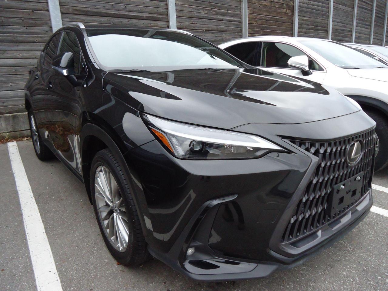 Used 2024 Lexus NX AWD HYBRID for sale in Toronto, ON