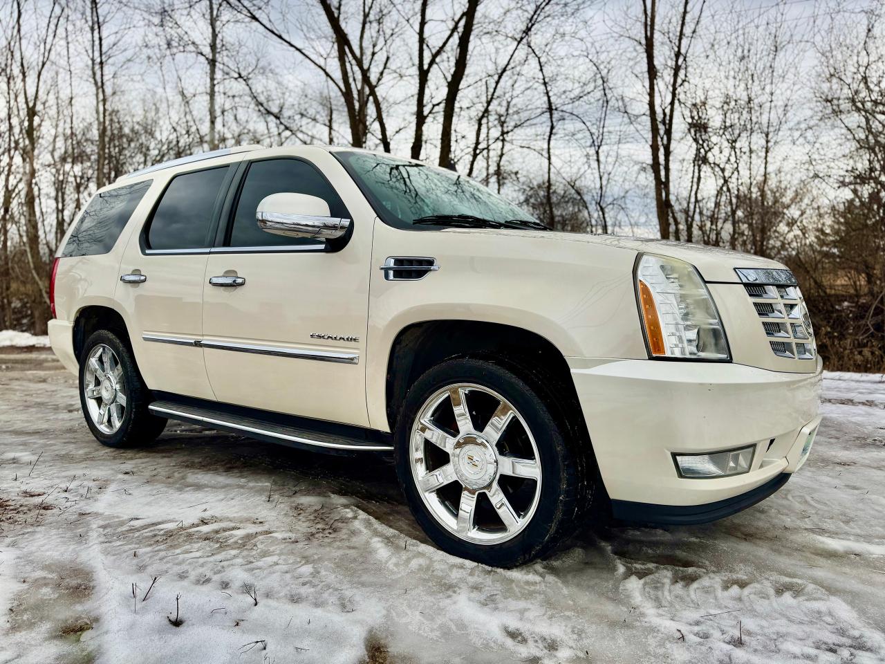 2010 Cadillac Escalade Luxury 4dr AWD - Photo #3