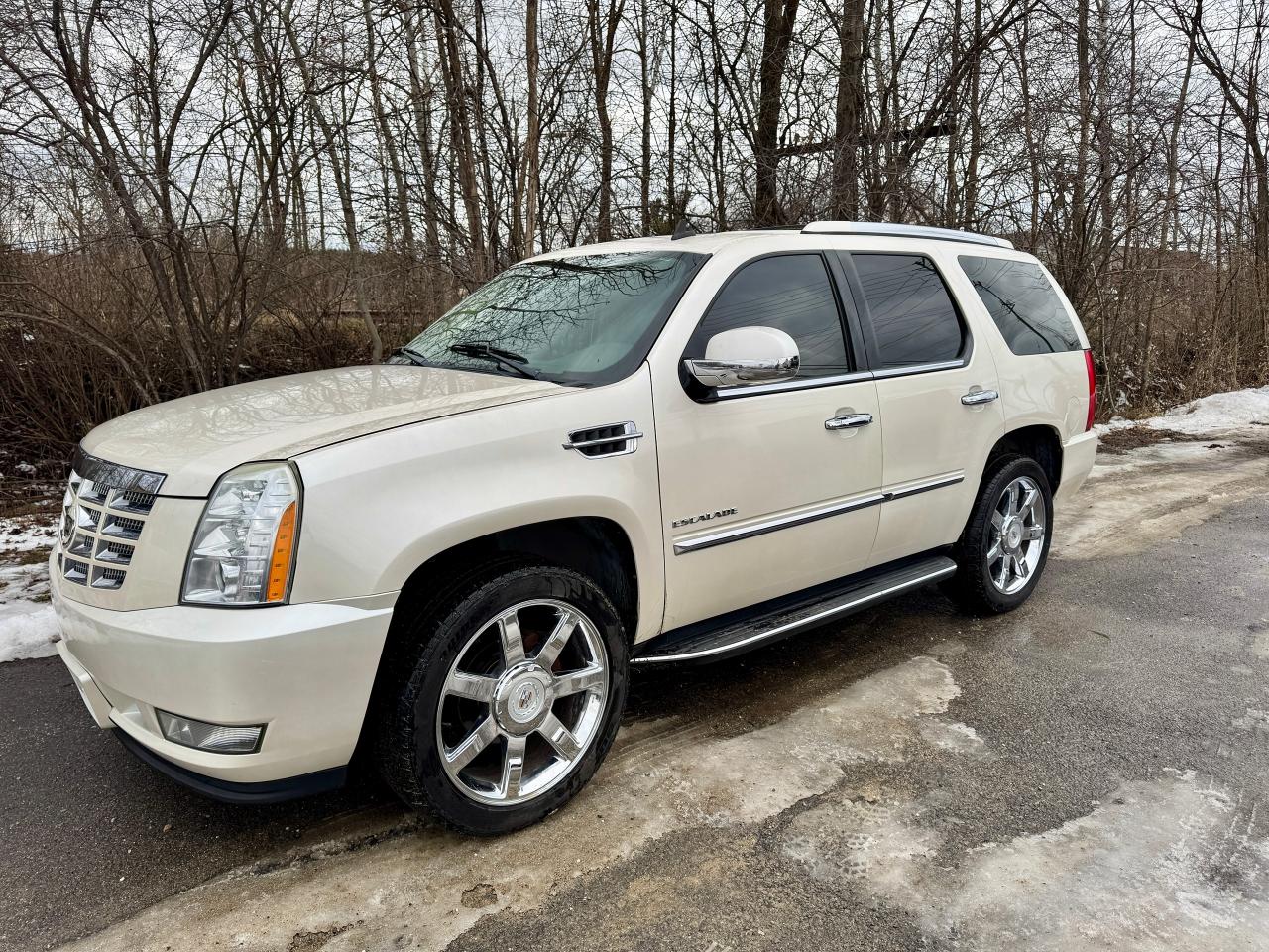 2010 Cadillac Escalade Luxury 4dr AWD - Photo #2