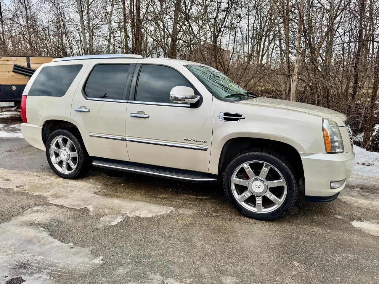 2010 Cadillac Escalade Luxury 4dr AWD - Photo #5