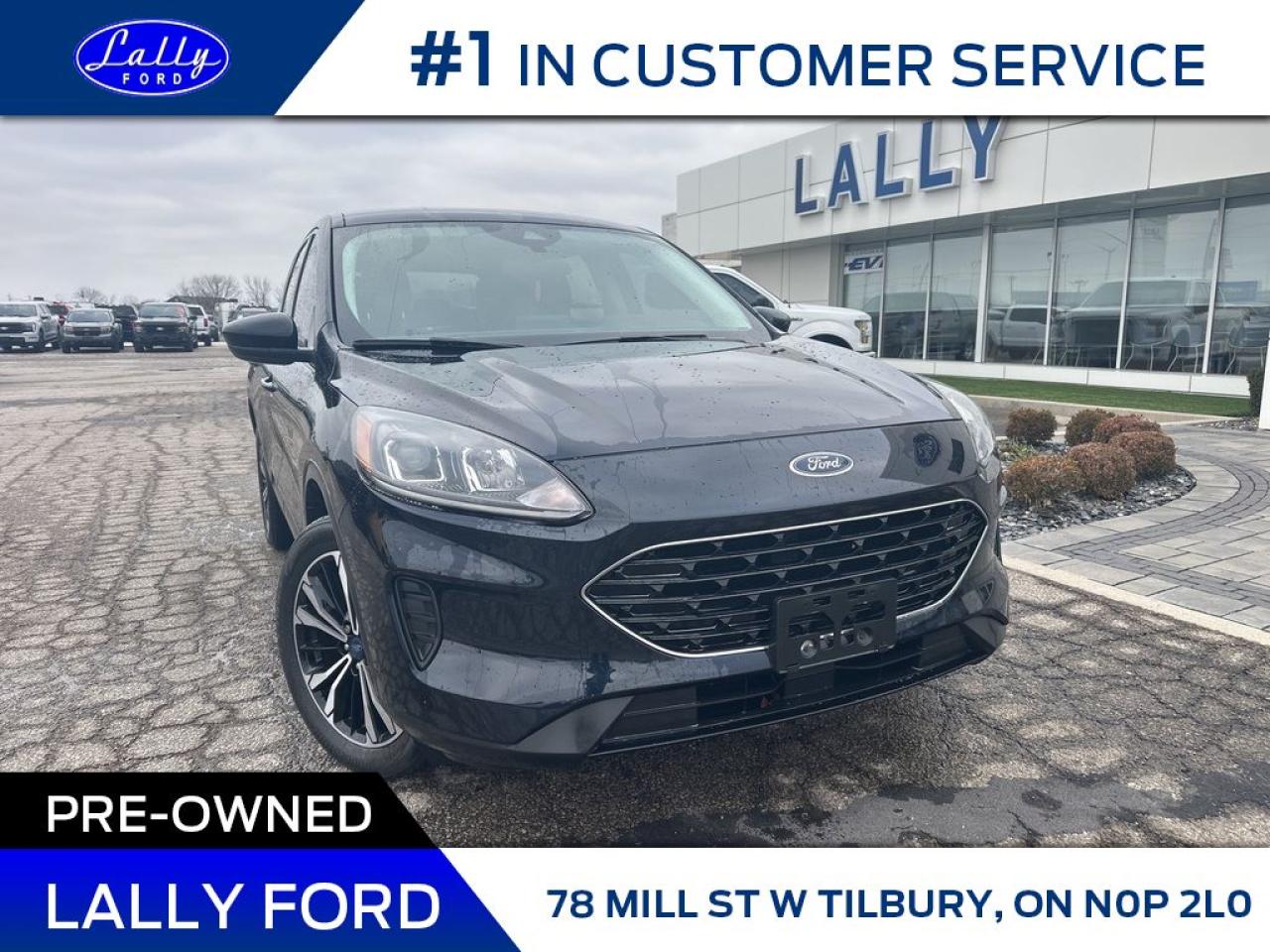 Used 2021 Ford Escape SE, AWD, Navigation, One Owner! for sale in Tilbury, ON