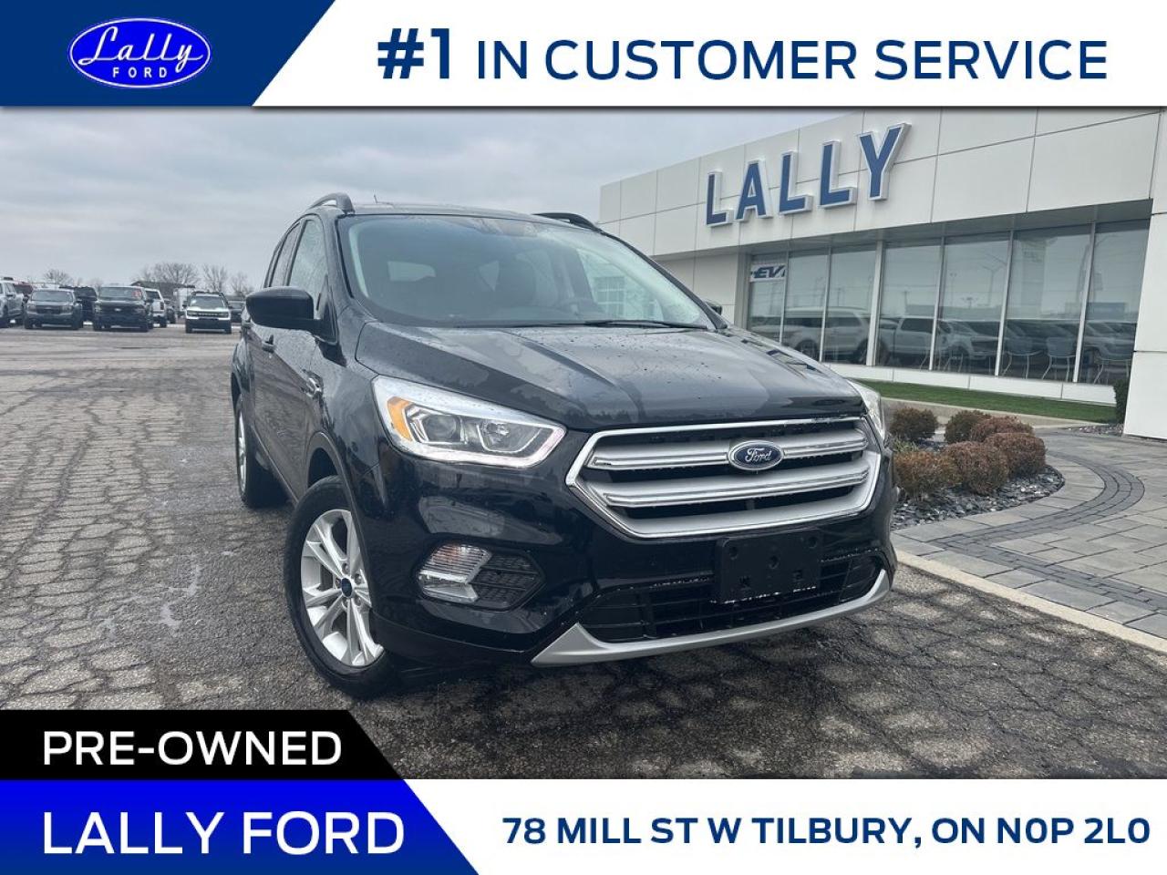 Used 2019 Ford Escape SEL, Leather, Navigation, Low Km’s! for sale in Tilbury, ON