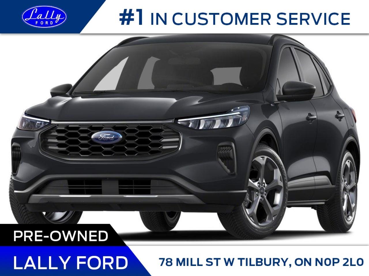 Used 2025 Ford Escape ST-Line for sale in Tilbury, ON
