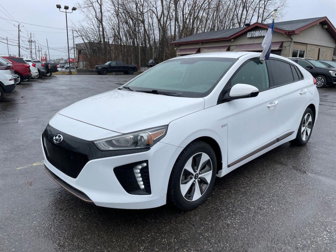 Used 2017 Hyundai IONIQ EV SE CCP Navi | BSM | Apple Car Play | Android Auto | Backup Camera | Heated Seats for sale in Waterloo, ON