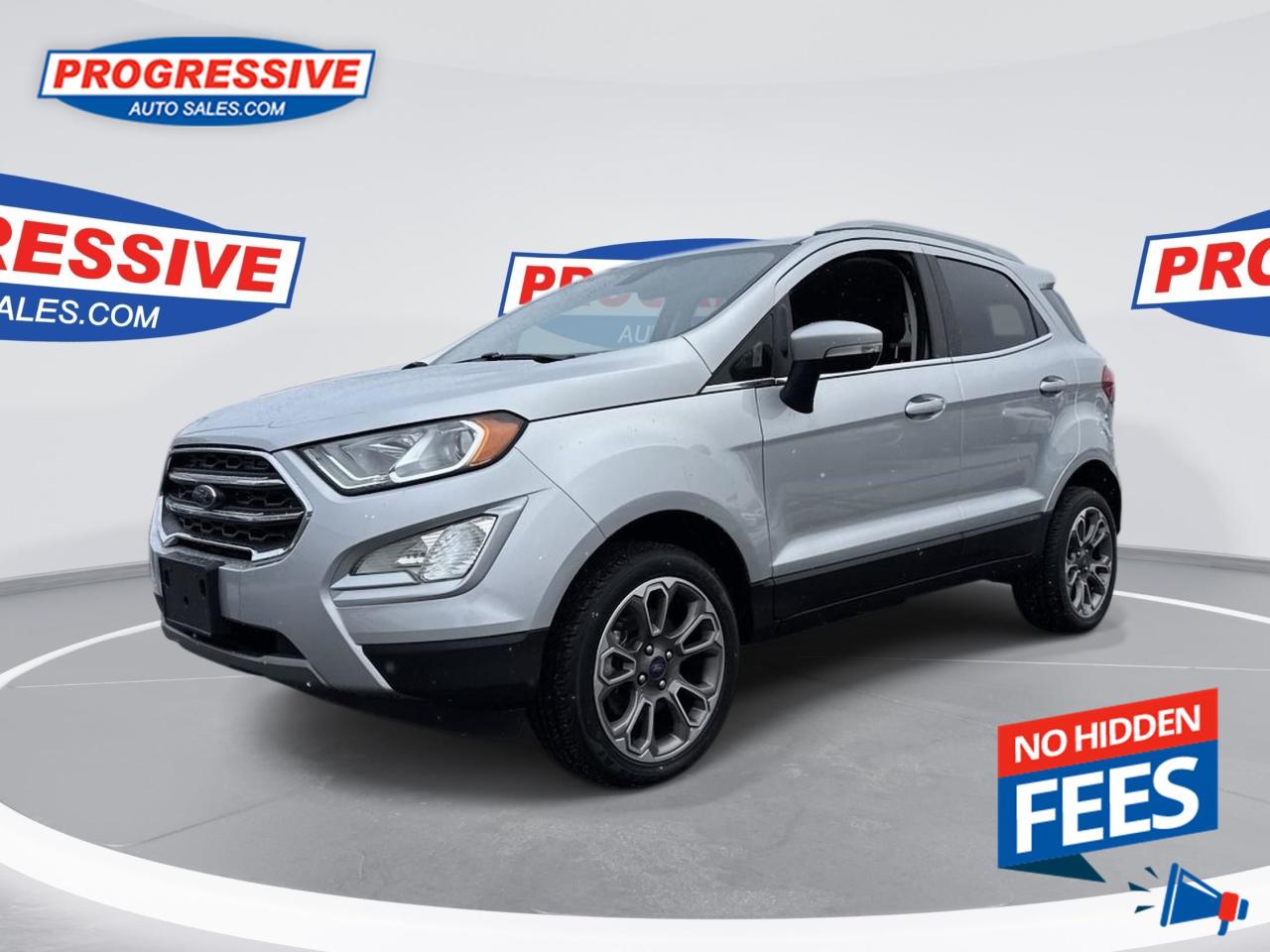 Used 2020 Ford EcoSport Titanium - Leather Seats for sale in Sarnia, ON