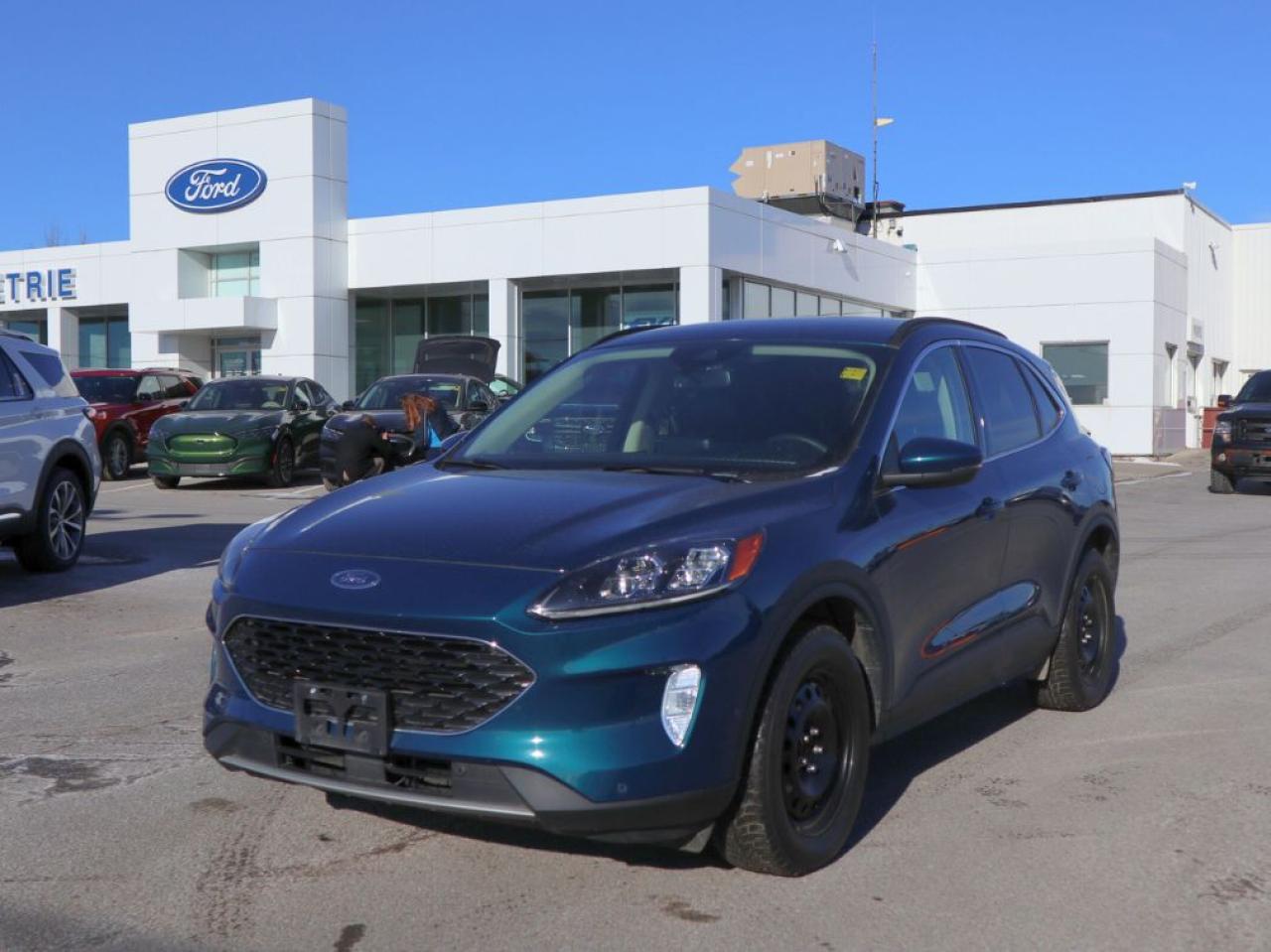 Used 2020 Ford Escape Hybrid TITANIUM HYBRID for sale in Kingston, ON