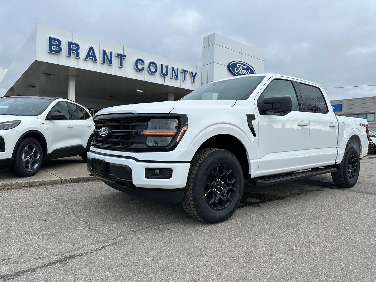 New 2024 Ford F-150 XLT | 301A| 5.0 L | XLT BLACK APPEARANCE PACKAGE | for sale in Brantford, ON