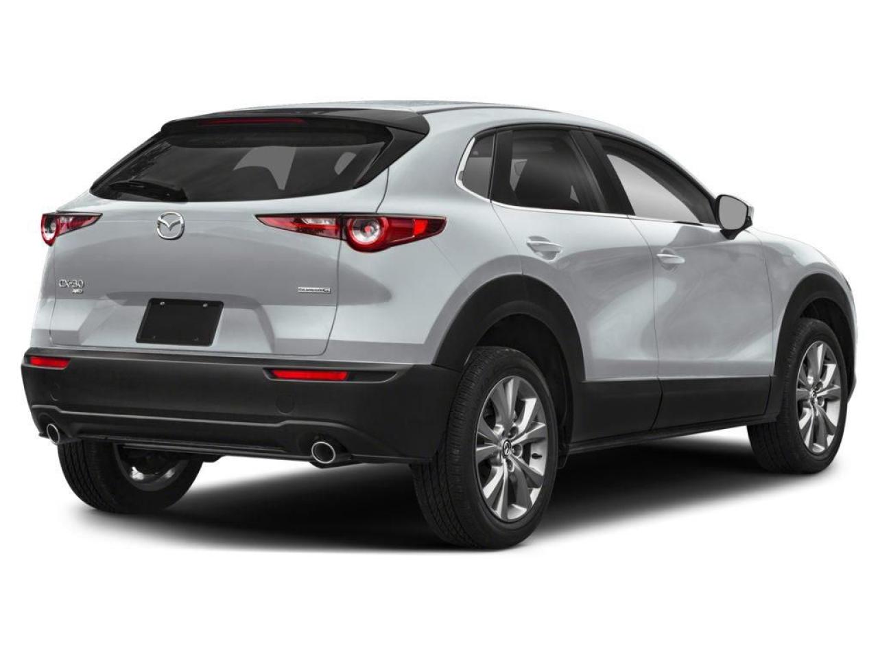 2025 Mazda CX-30 GS Photo2