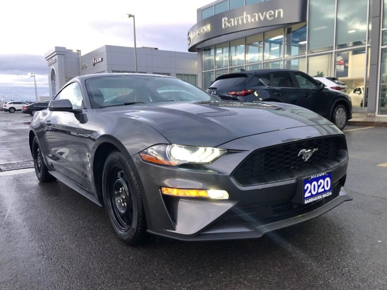 Used 2020 Ford Mustang EcoBoost Premium Fastback | 2 Sets of Wheels Incl! for sale in Ottawa, ON