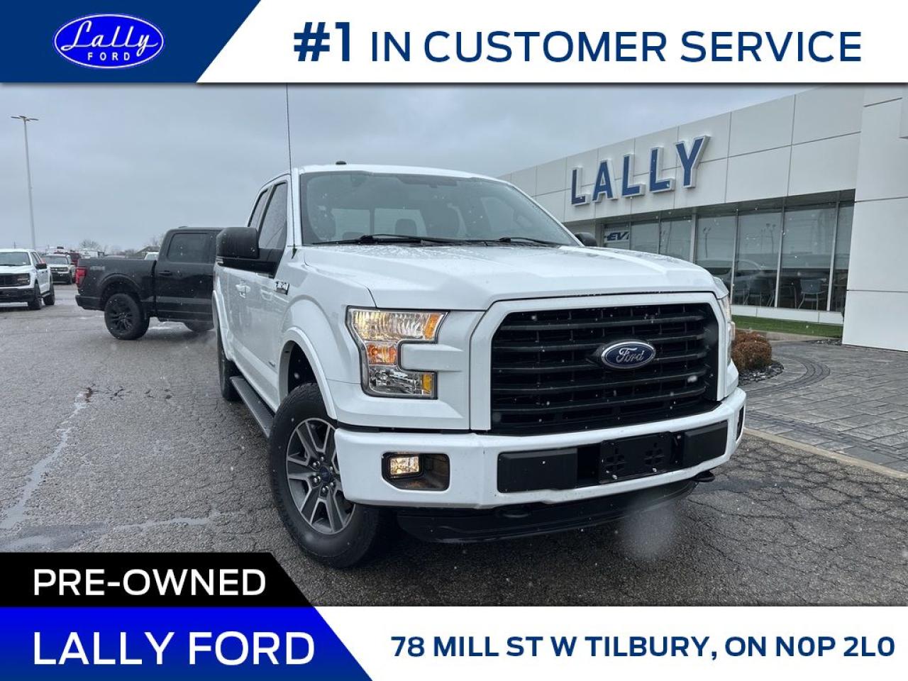 Used 2016 Ford F-150 XLT, Sport, Nav, Local Trade! for sale in Tilbury, ON