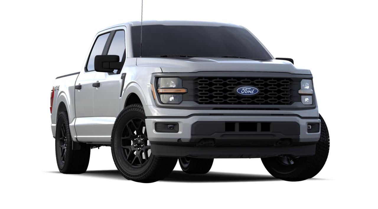 2024 Ford F-150 STX Photo