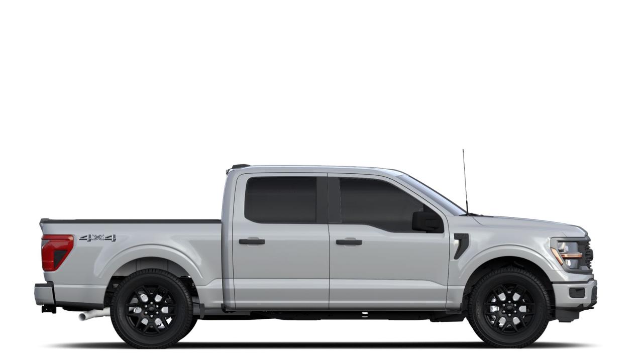 2024 Ford F-150 STX Photo4