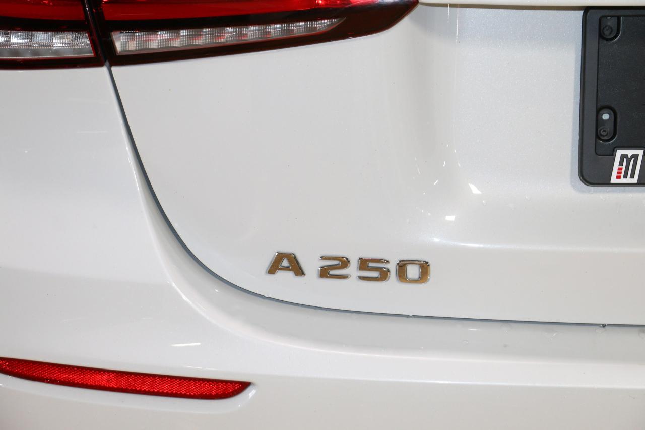 2021 Mercedes-Benz A-Class A250 4MATIC - PANO|NAVIGATION|CAMERA|BLINDSPOT - Photo #6