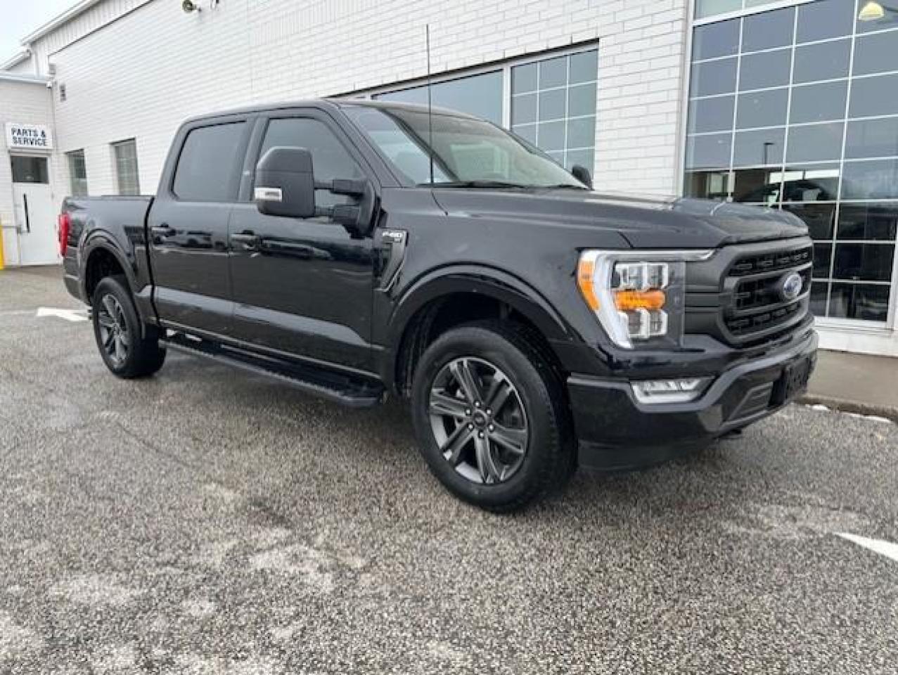 Used 2023 Ford F-150 XLT cabine SuperCrew 4RM caisse de 5,5 pi for sale in Watford, ON