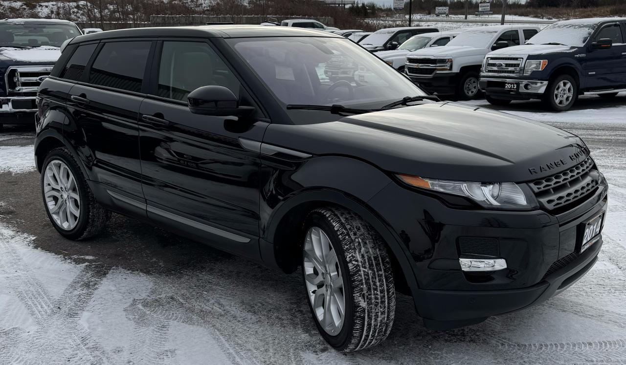 2014 Land Rover Range Rover Evoque 5dr HB Pure Plus - Photo #7