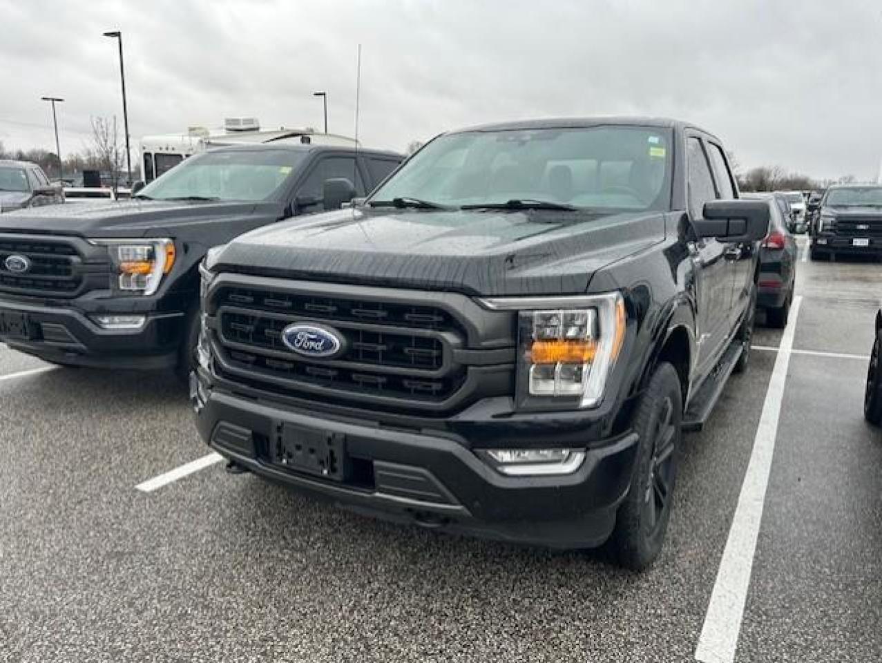 Used 2021 Ford F-150 XLT cabine SuperCrew 4RM caisse de 5,5 pi for sale in Watford, ON