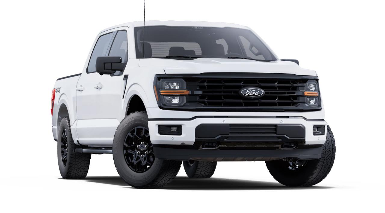 2025 Ford F-150 XLT 4WD SUPERCREW 5.5' BOX Photo