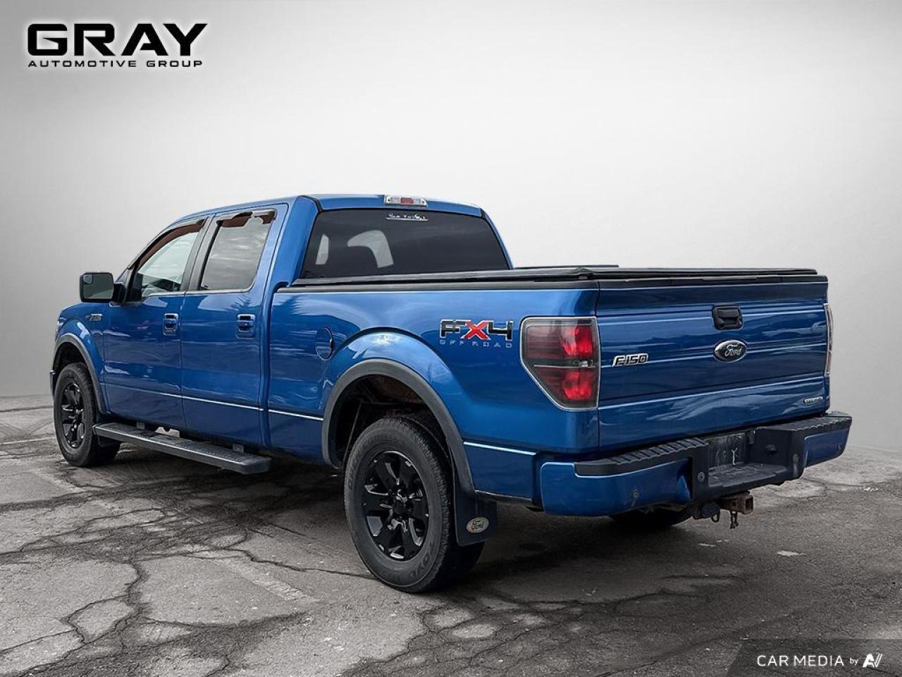 2011 Ford F-150 FX4 5L V8/CERTIFIED + 2 YR WARRANTY/ONE OWNER Photo2