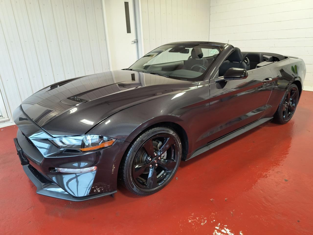 Used 2022 Ford Mustang Convertible for sale in Pembroke, ON