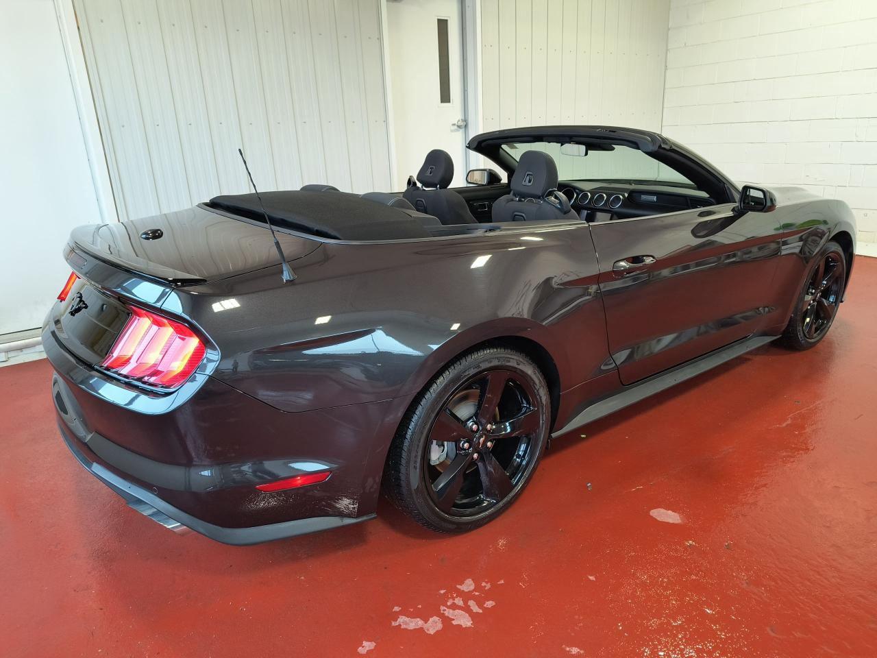 2022 Ford Mustang Convertible Photo3