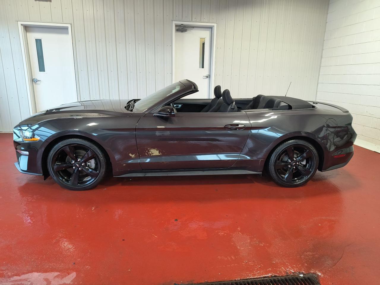 2022 Ford Mustang Convertible Photo2