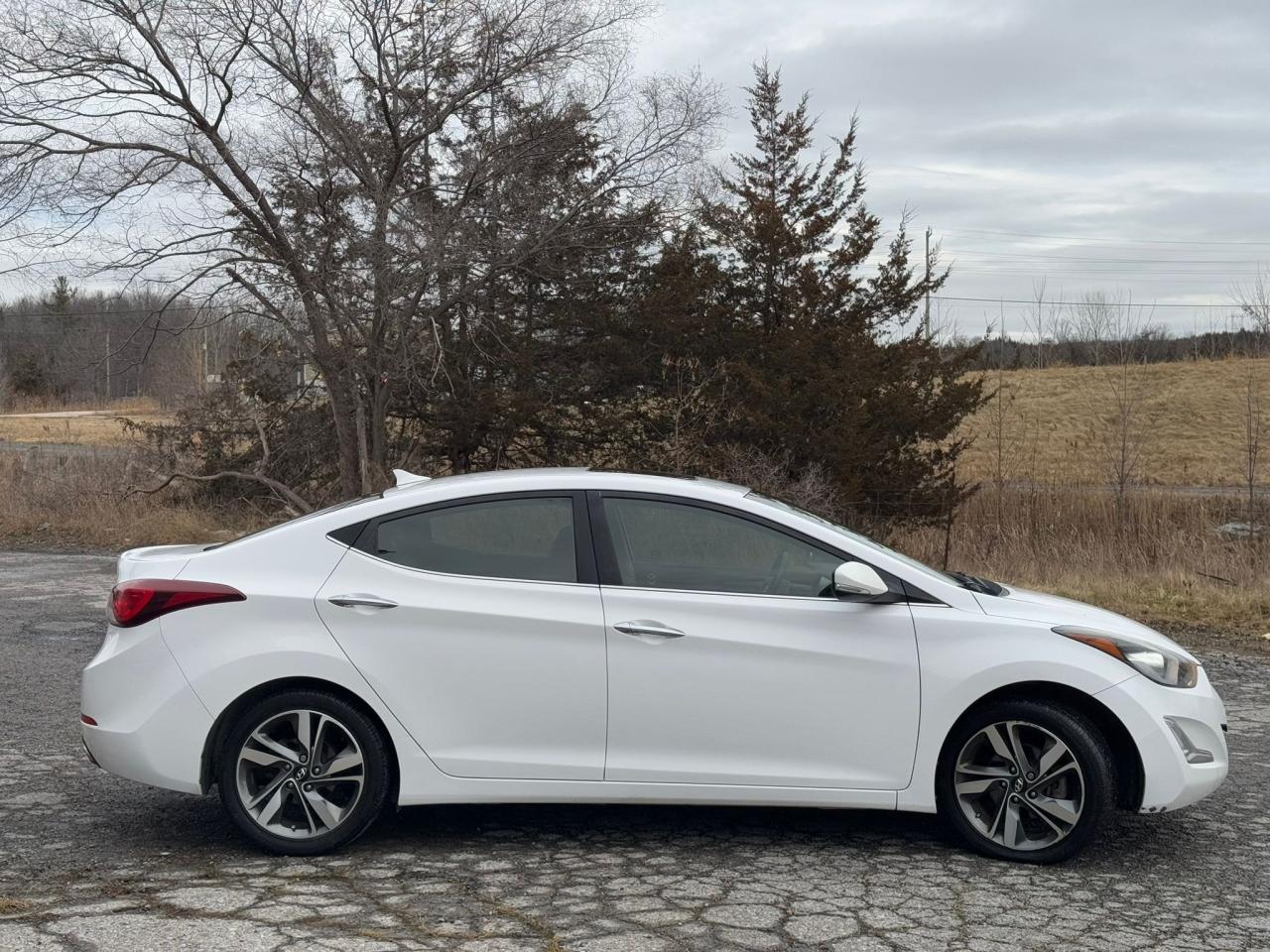 2014 Hyundai Elantra LIMITED | CLEAN CARFAX | ONE OWNER | LEATHER | Photo6