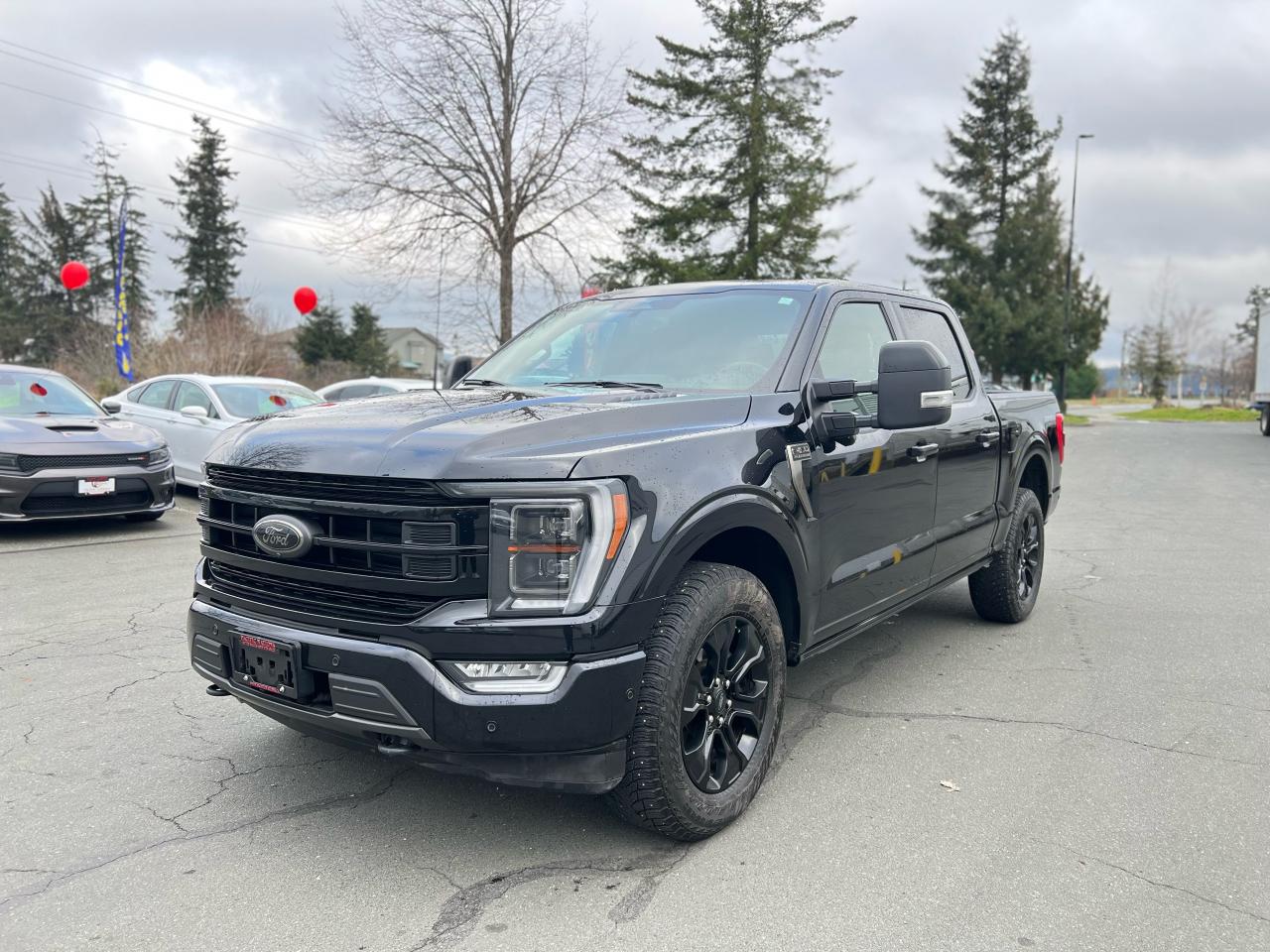 Used 2023 Ford F-150 PLATINUM for sale in Campbell River, BC