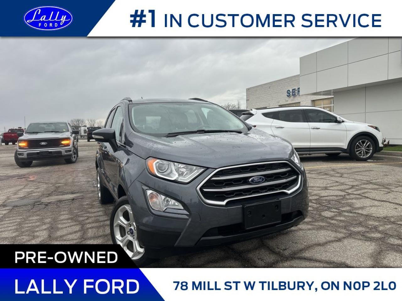 Used 2021 Ford EcoSport SE, AWD, Moonroof, Nav, Only 25,371 Km’s! for sale in Tilbury, ON