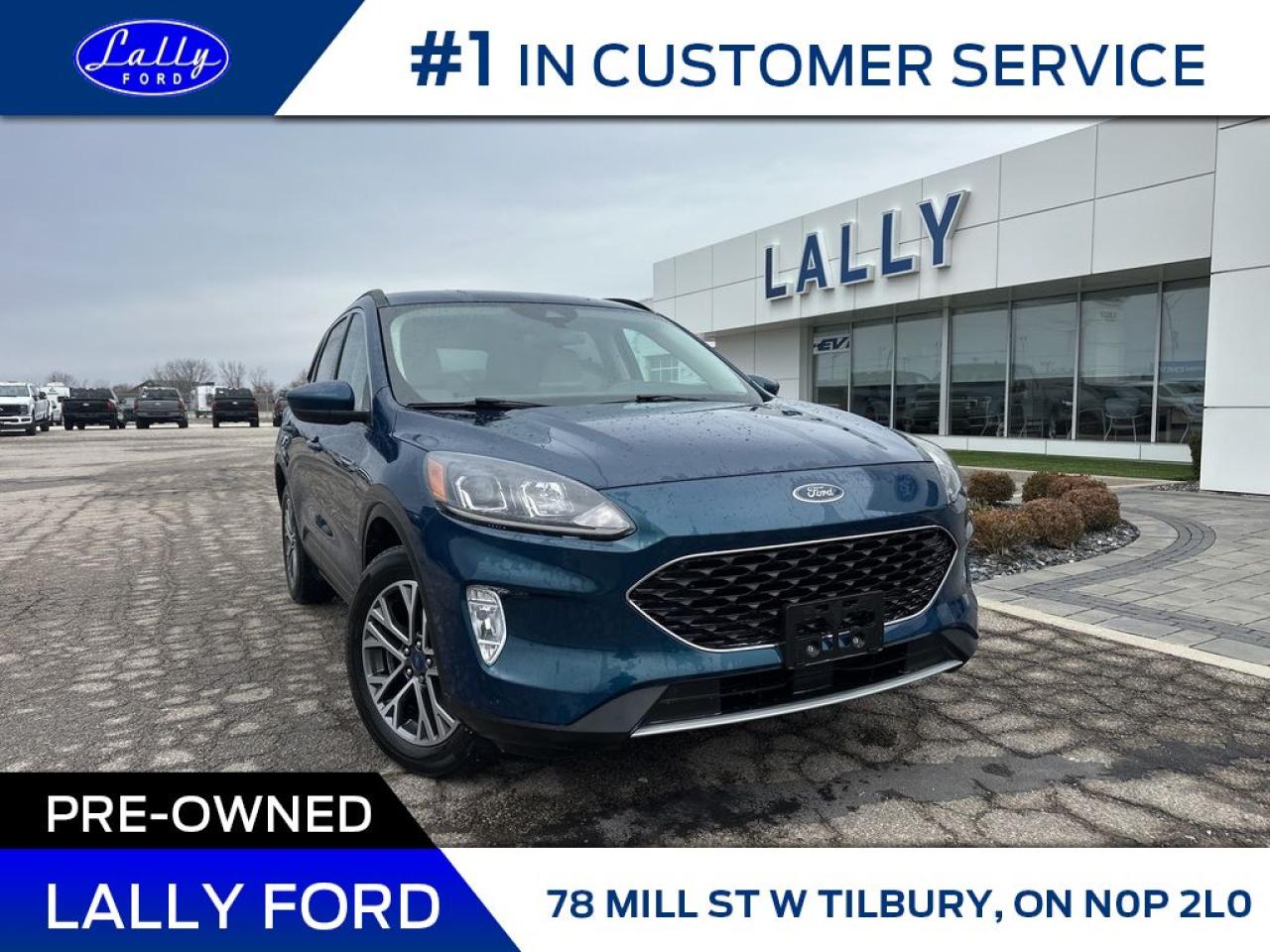 Used 2020 Ford Escape SEL, AWD, Nav, Leather! for sale in Tilbury, ON