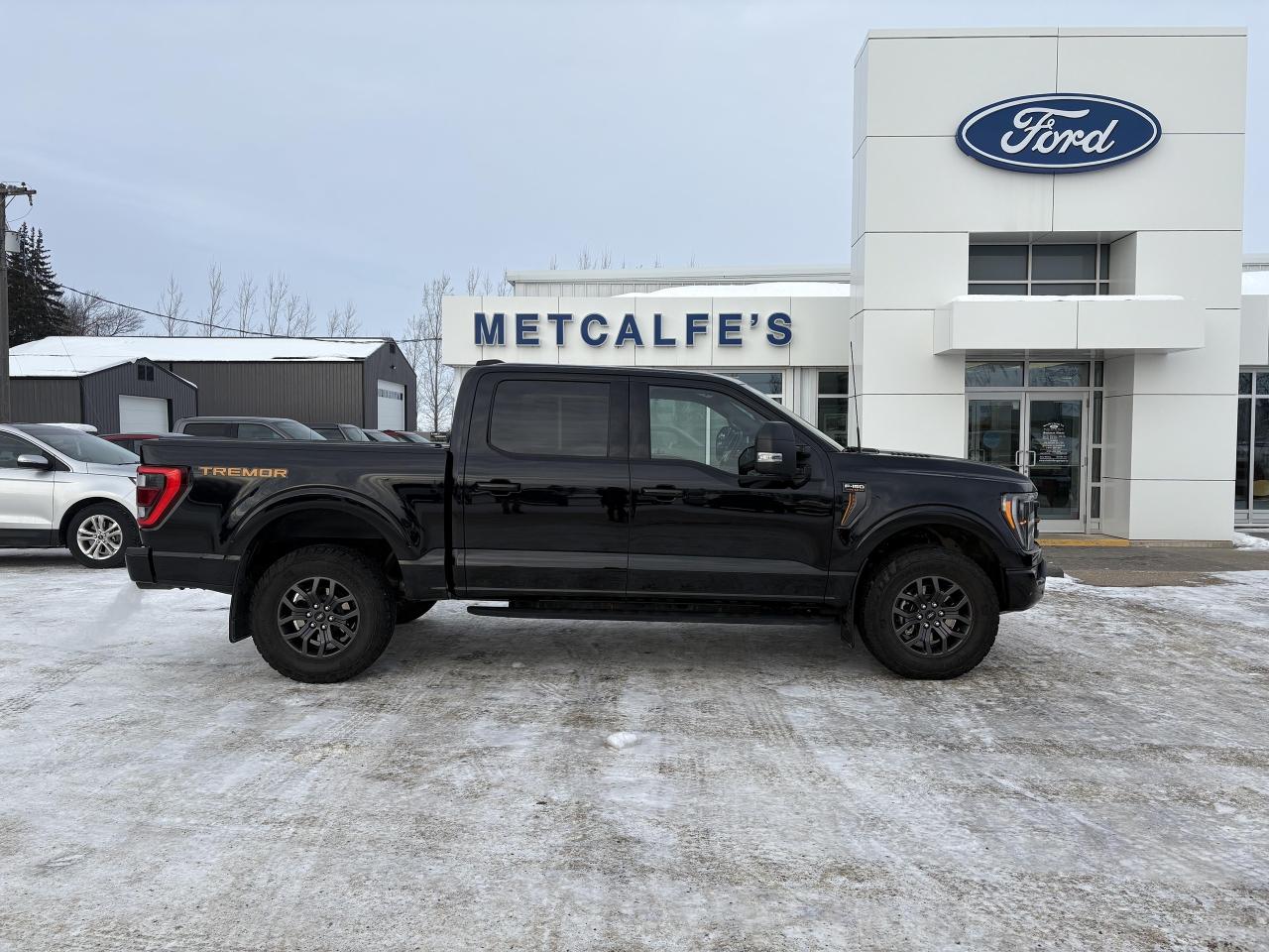 Used 2022 Ford F-150 SUPERCREW for sale in Treherne, MB