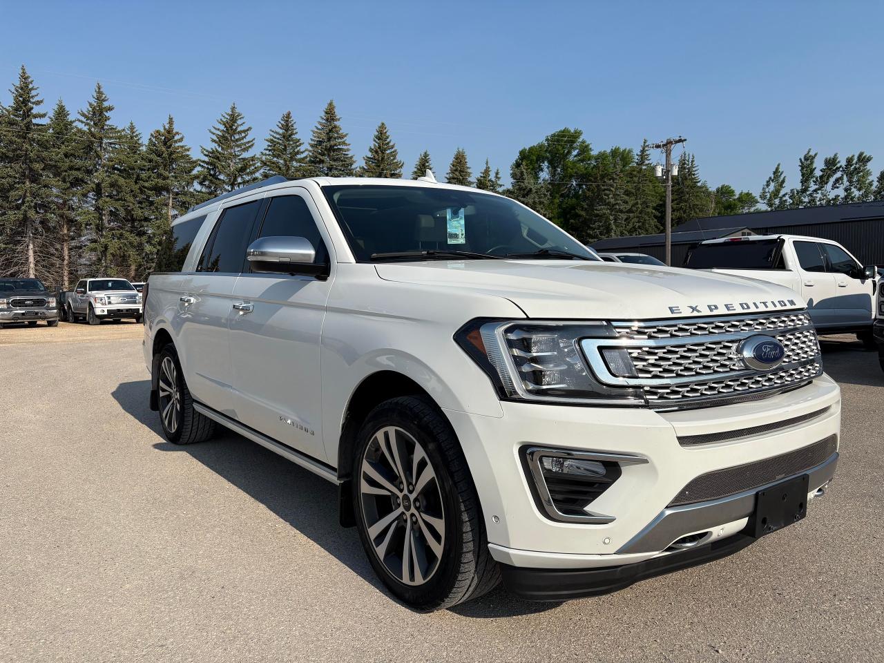 2021 Ford Expedition Max Platinum Photo