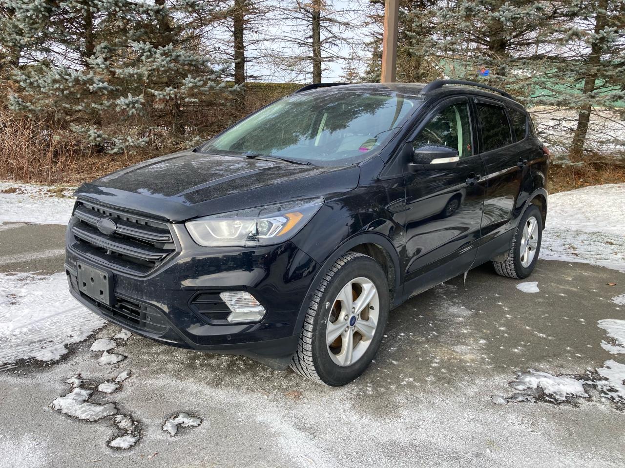 2019 Ford Escape  Photo