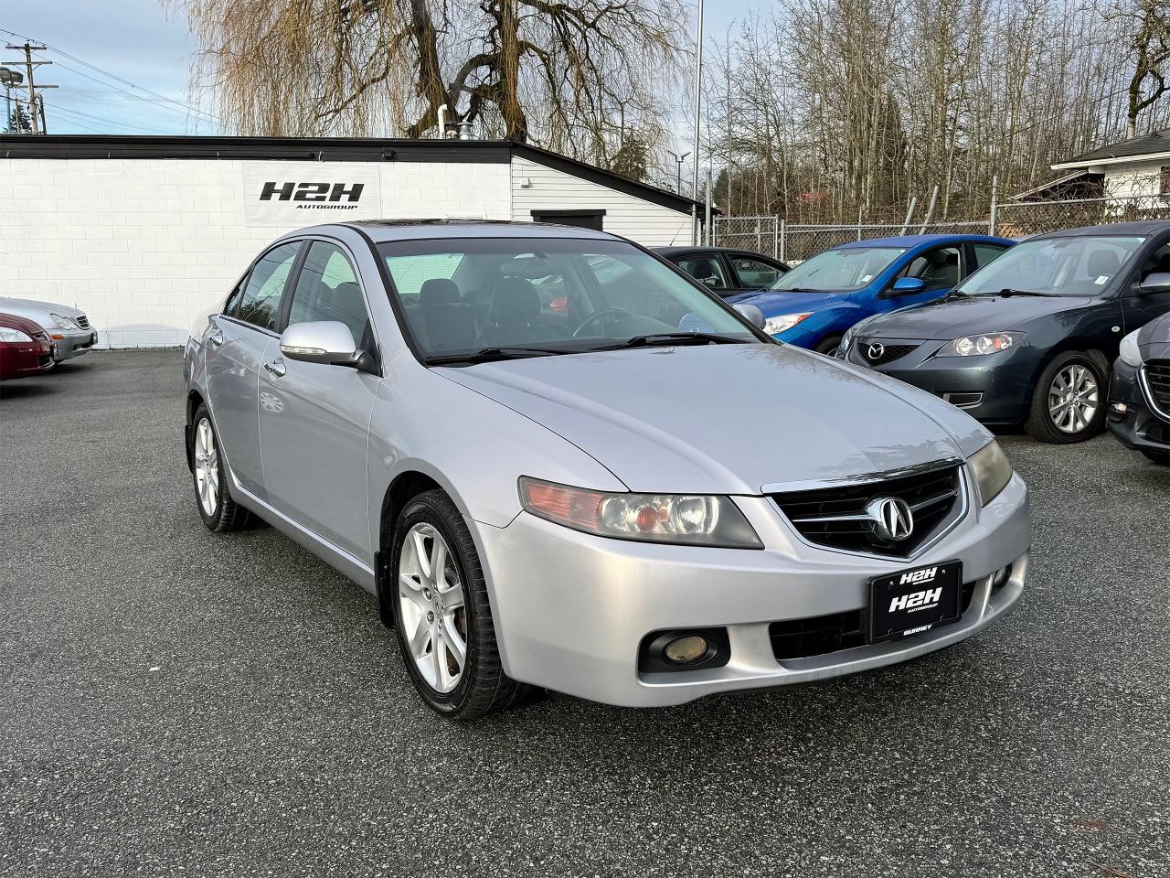 2004 Acura TSX FINANCING AVAILABLE Photo3