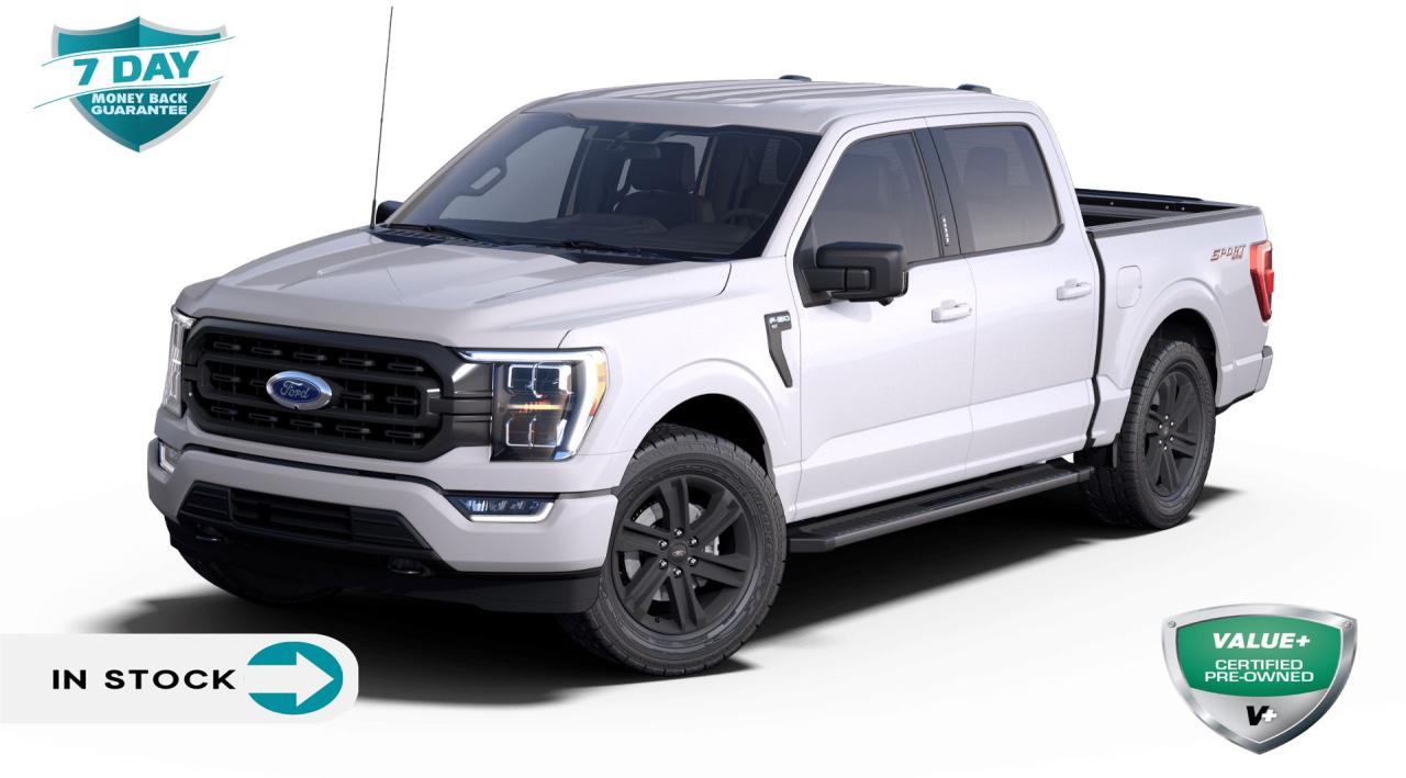 Used 2022 Ford F-150 XLT - BANG & OLUFSUN SOUND OPTION for sale in Hamilton, ON