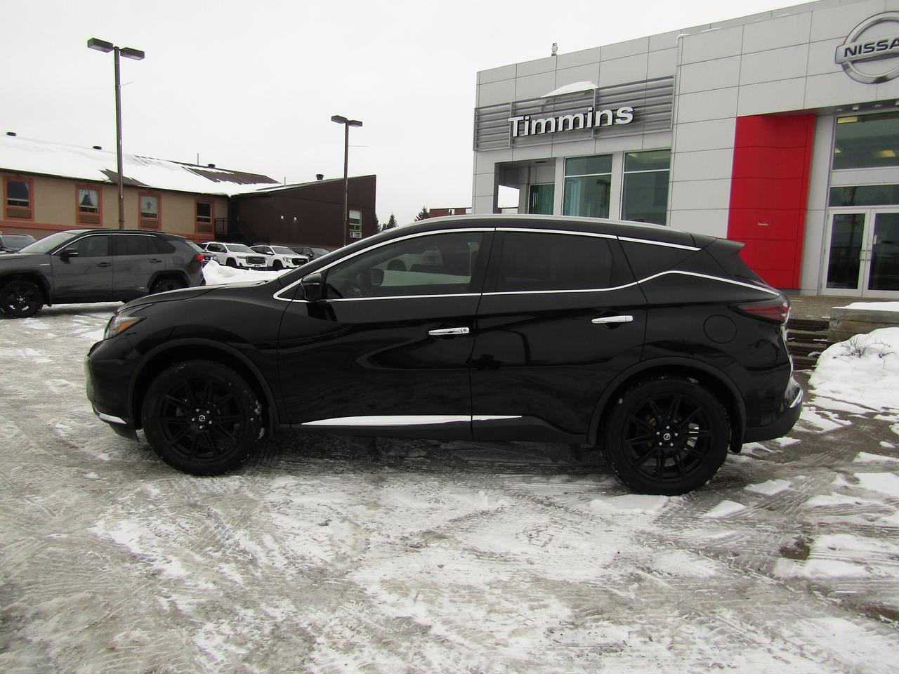 2020 Nissan Murano Platinum Photo