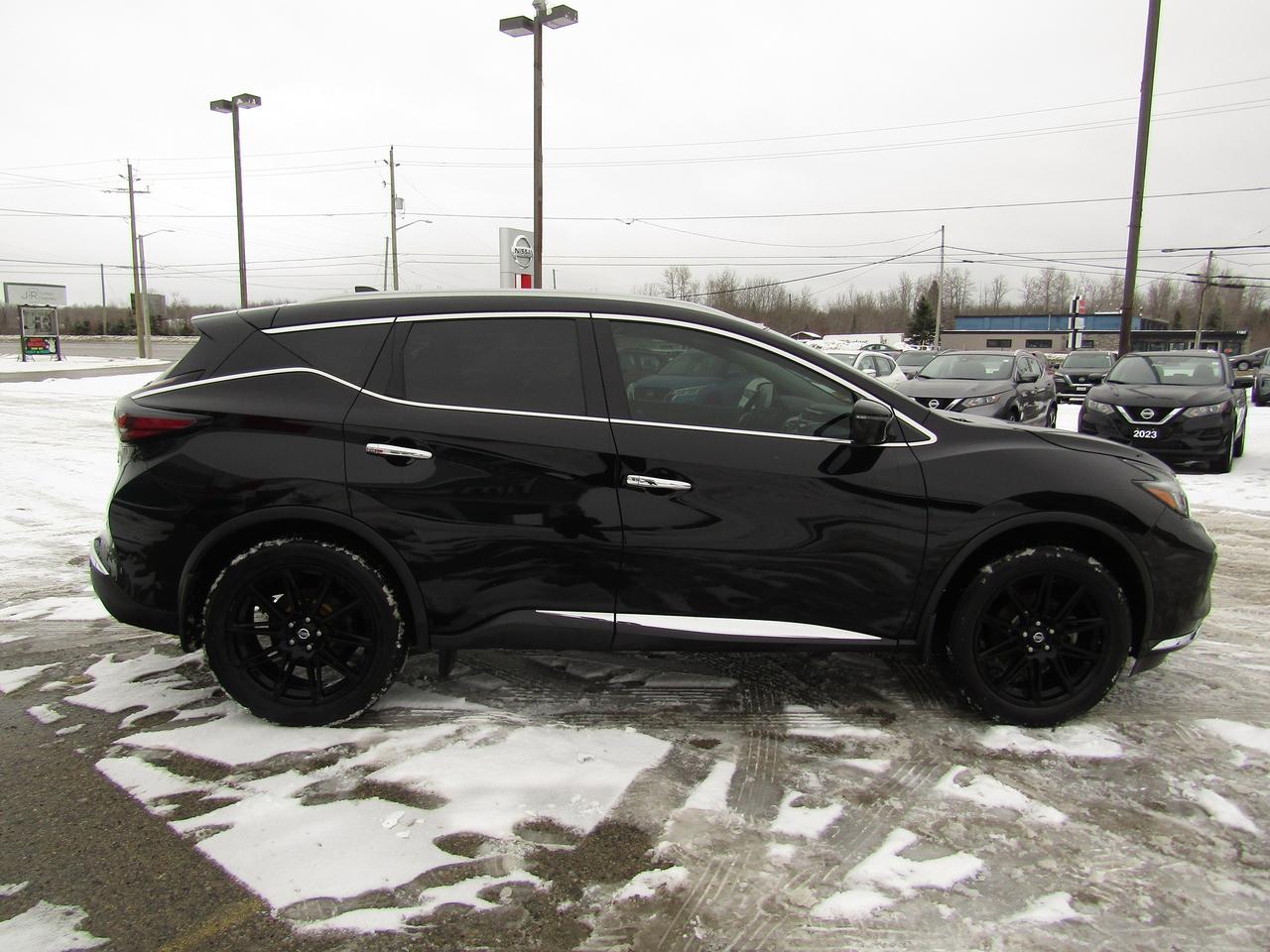 2020 Nissan Murano Platinum Photo