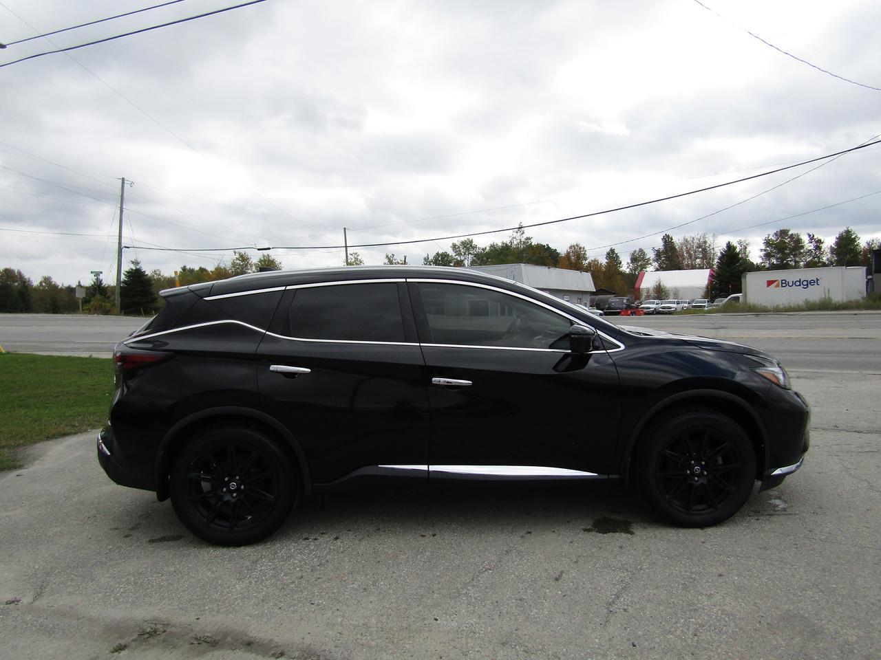 2020 Nissan Murano Platinum Photo3