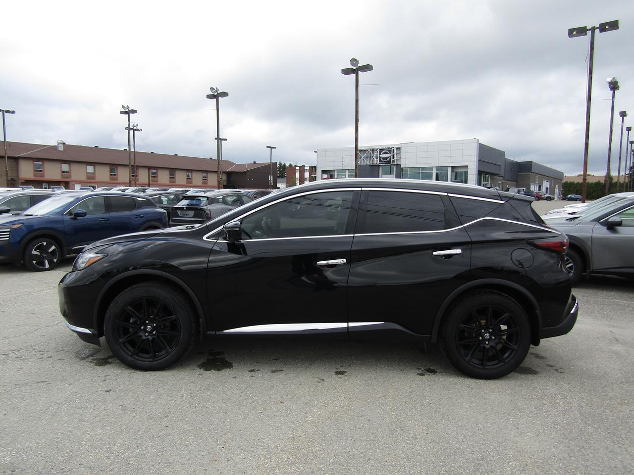 2020 Nissan Murano Platinum Photo
