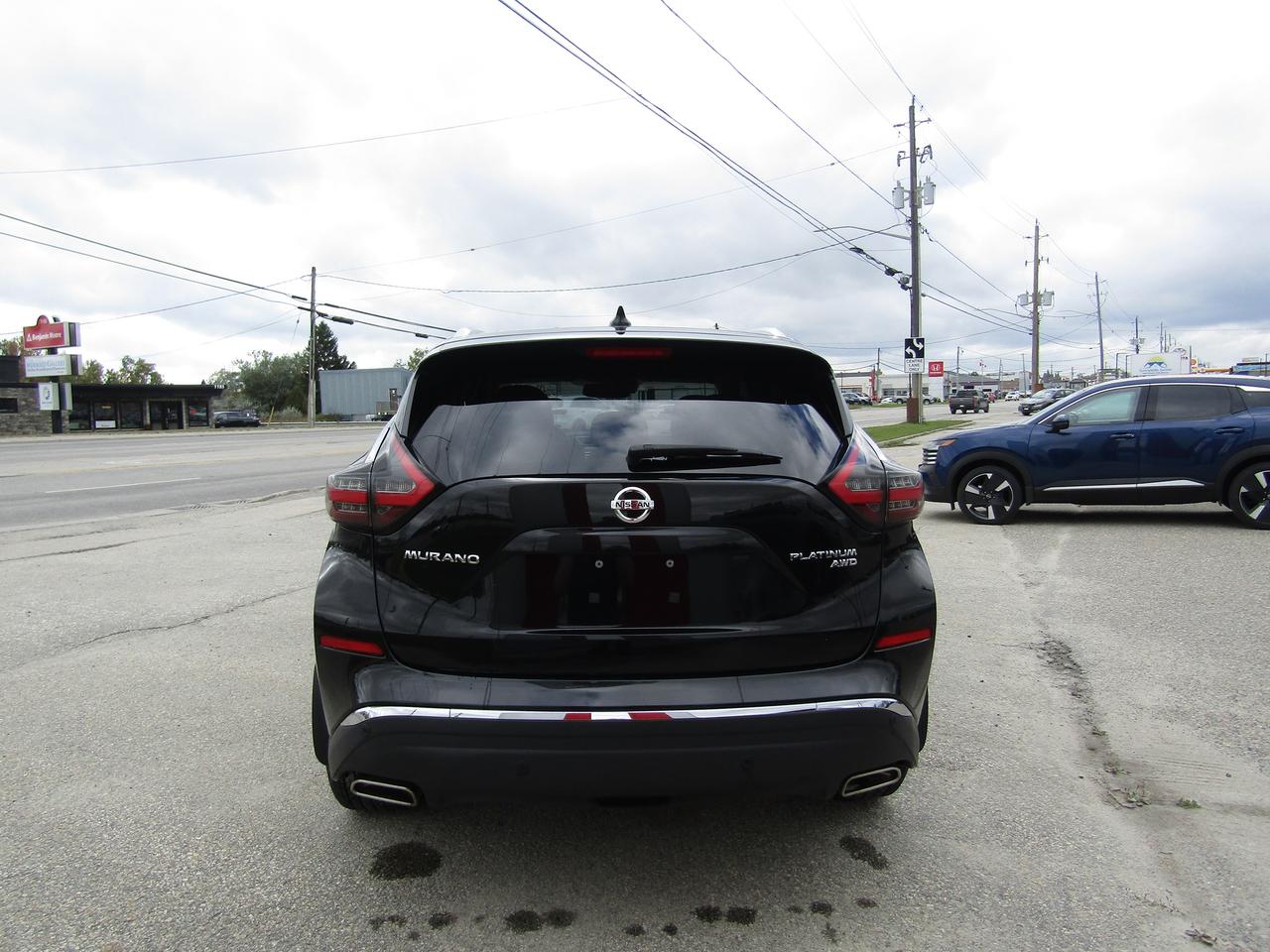 2020 Nissan Murano Platinum Photo