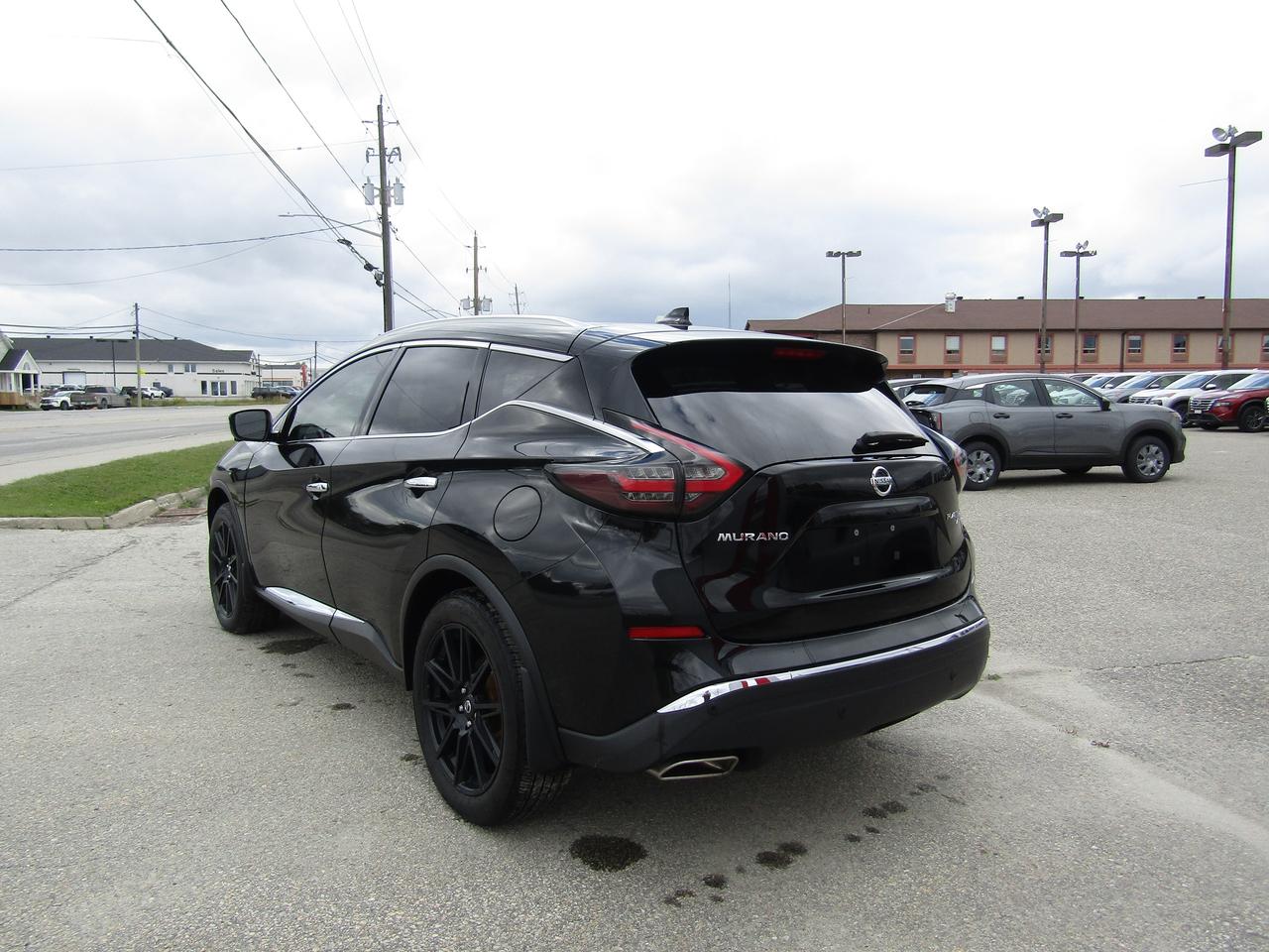 2020 Nissan Murano Platinum Photo