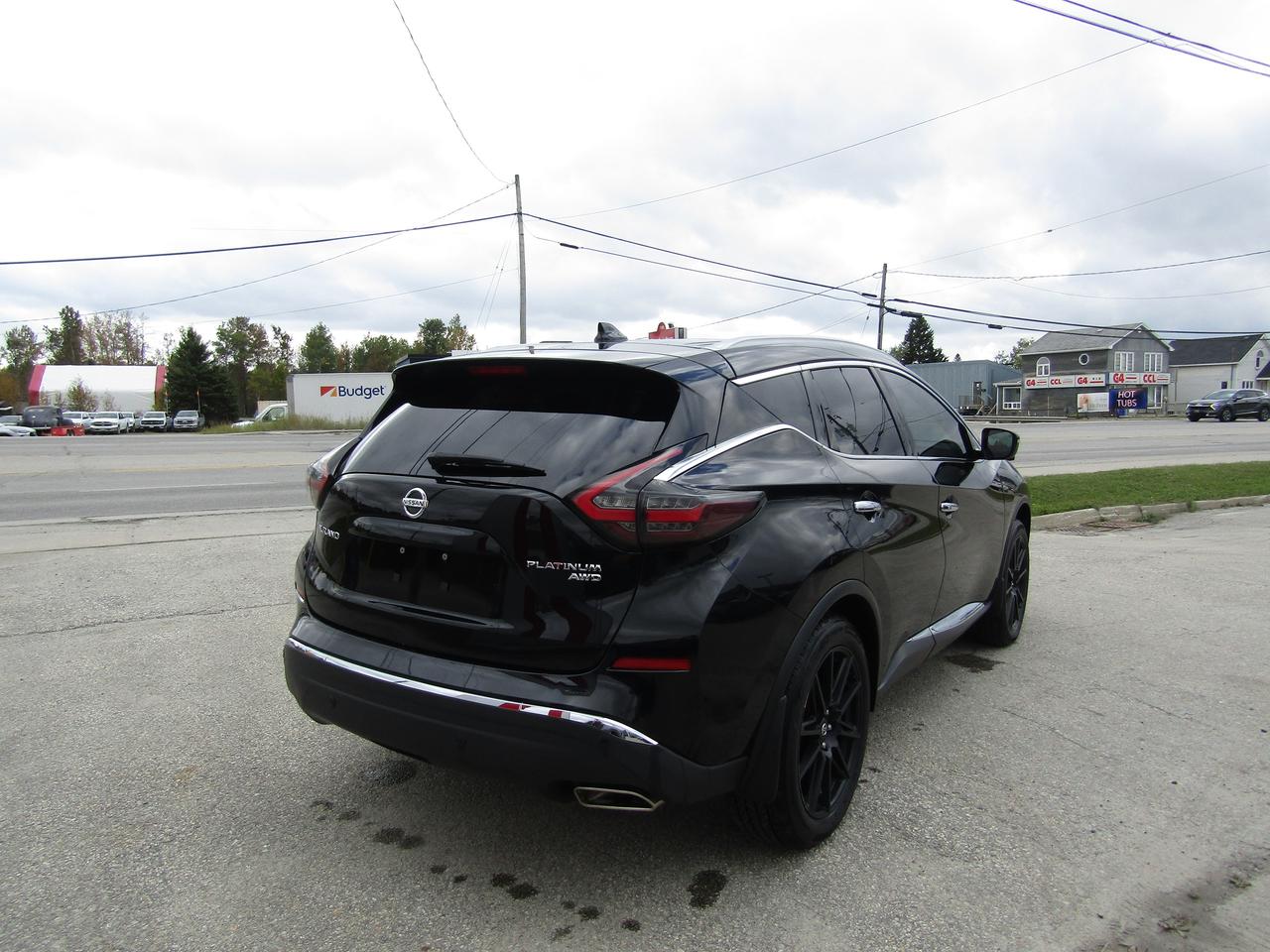 2020 Nissan Murano Platinum Photo